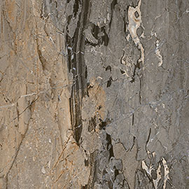 glazed vitrified tiles